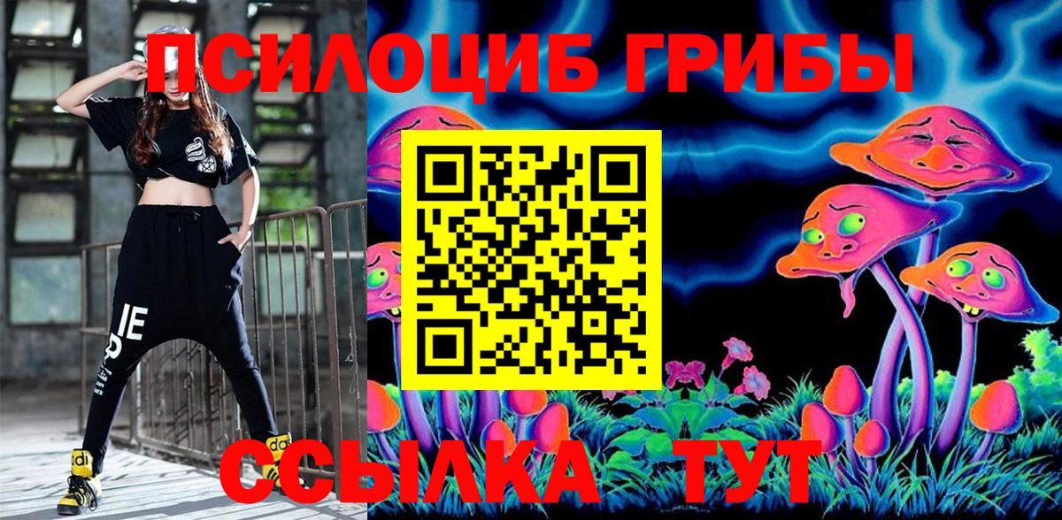 Тверь  Псилоцибиновые грибы MAGIC MUSHROOMS  Вход с VPN  Галлюциногенные грибы Cubensis 