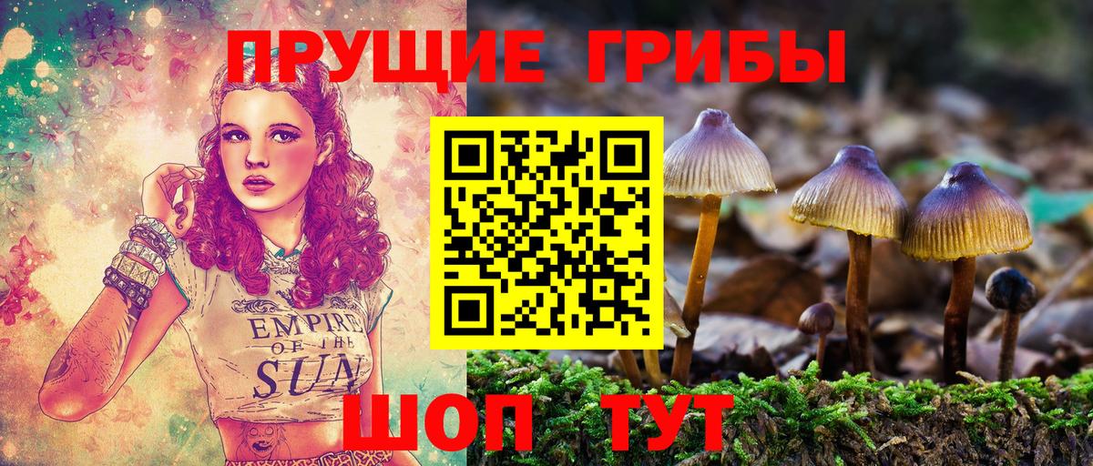 Галлюциногенные грибы GOLDEN TEACHER Тверь
